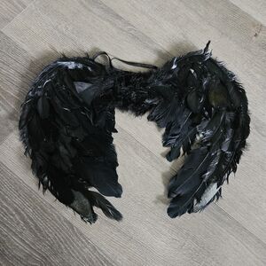 Source Unknown Black Feathered Wings